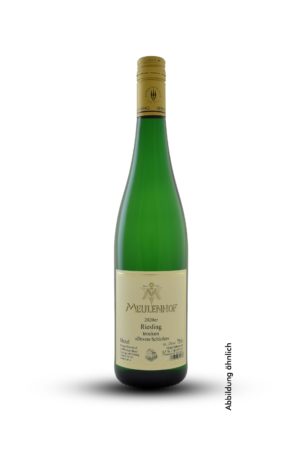 2024er Riesling "Devon-Schiefer" Qualitätswein Trocken